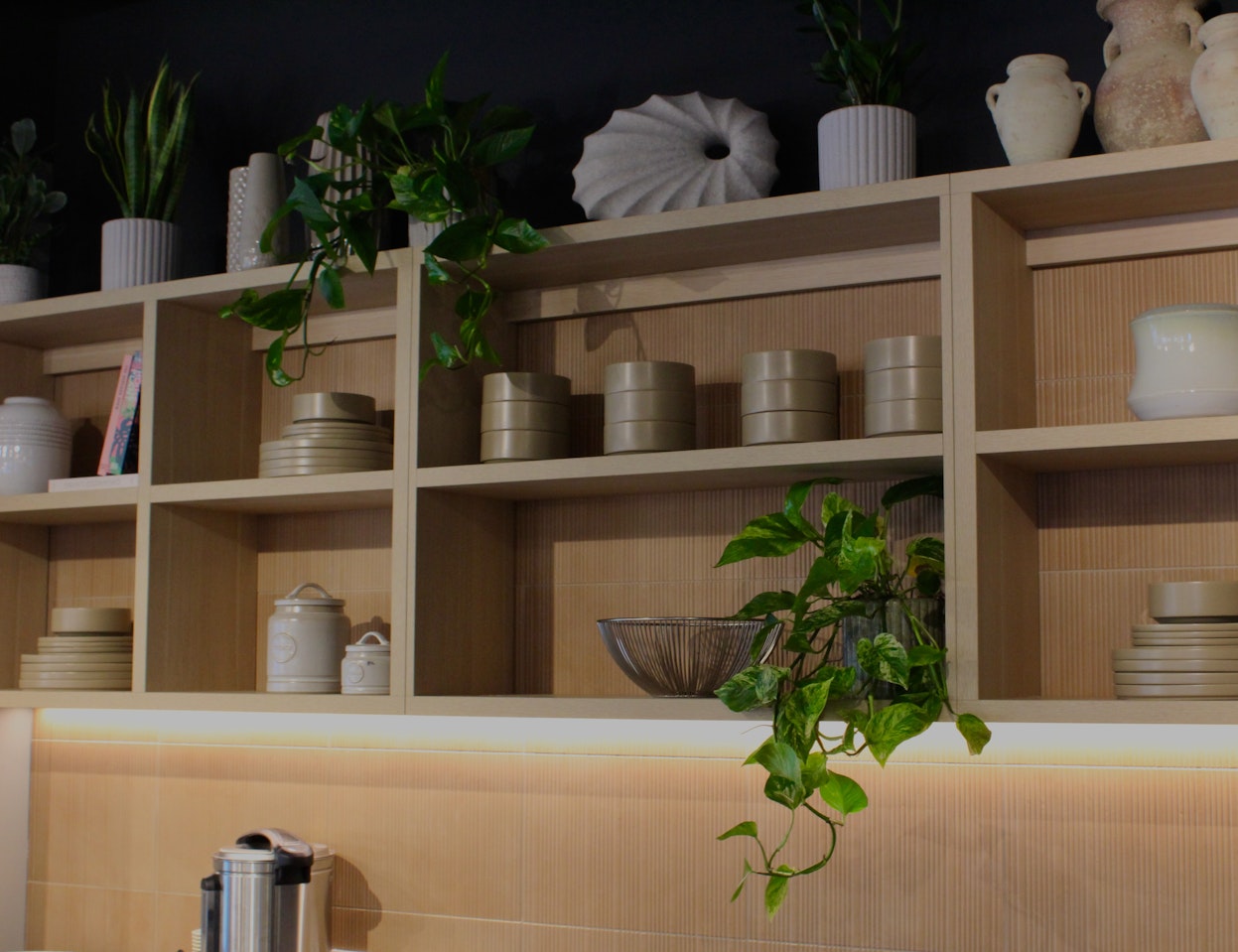 Biophilic design- commercial plant installation