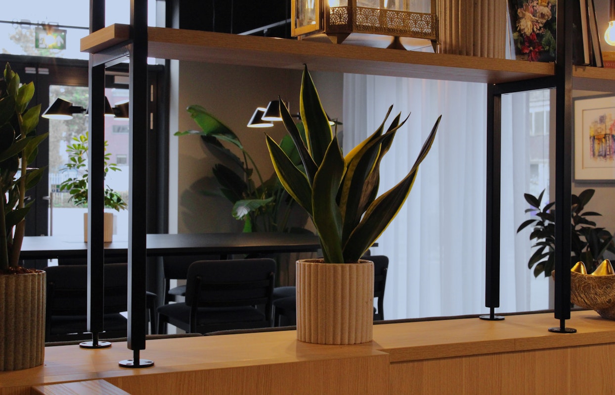 Biophilic design- commercial plant installation