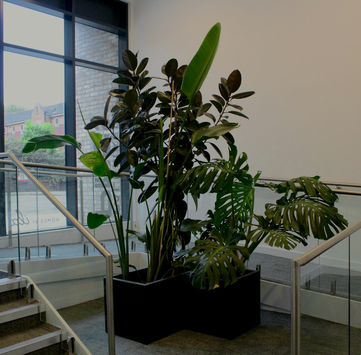 Biophilic design- commercial plant installation