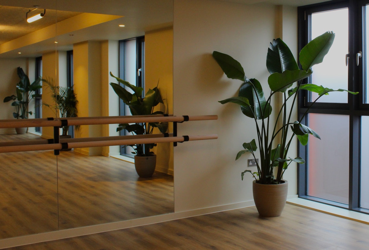 Plants for Business