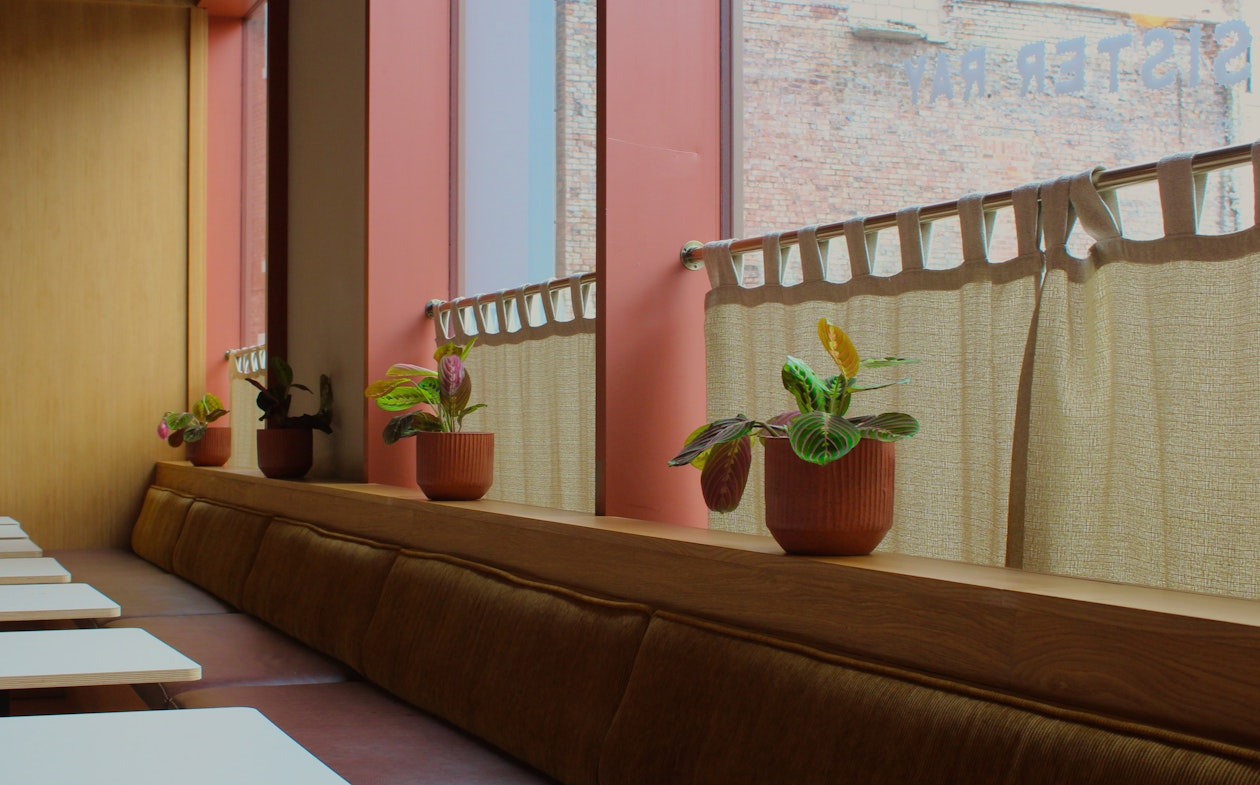 Plants for Business