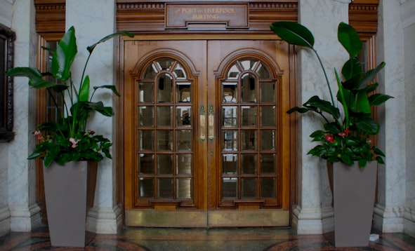 Plants for Business