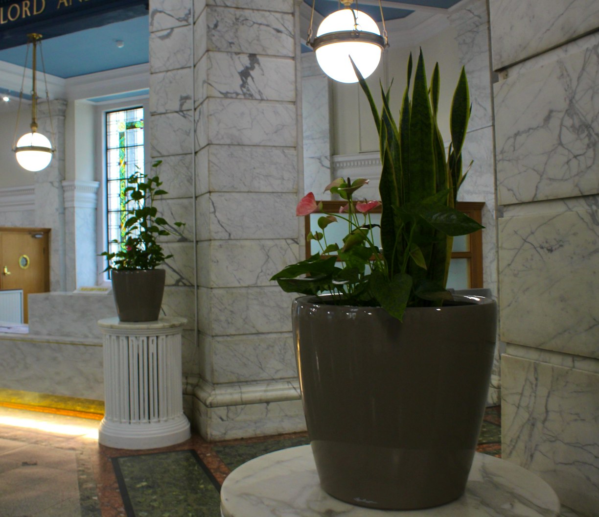 Plants for Business