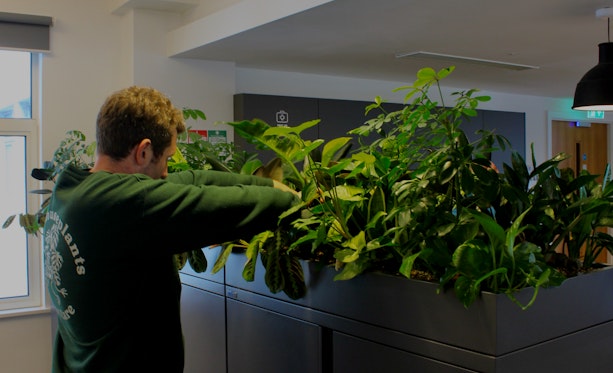 Plants for Business