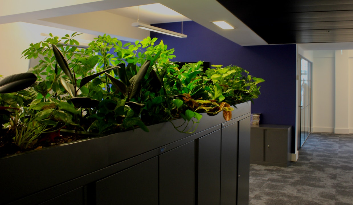 Plants for Business