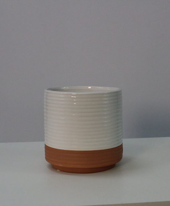 Milou Image 3