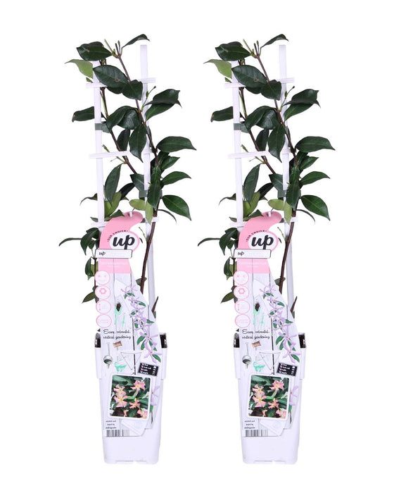 MM-MEC-0816 - 0