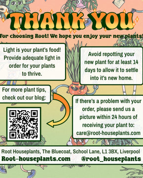 Root Houseplants Flyer