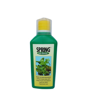 Spring Houseplant Food
