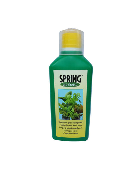 Spring Houseplant Food Image 1