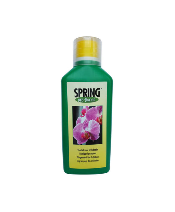 Spring Orchid Food Image 1