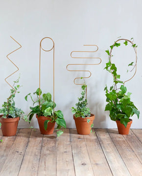 Golden Plant Stakes