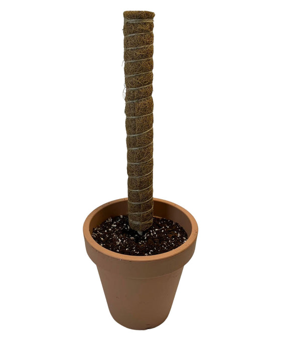 Coco-coir pole Image 2