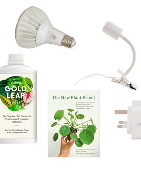 Houseplant Care Bundle
